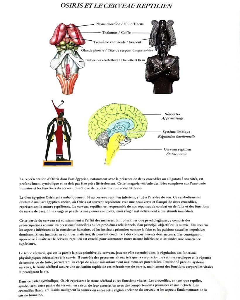 le livre du savoir – volumes i et ii (pdf – franÇais)